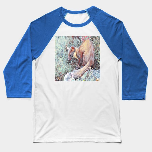 Pine Marten Baseball T-Shirt by British Wildlife